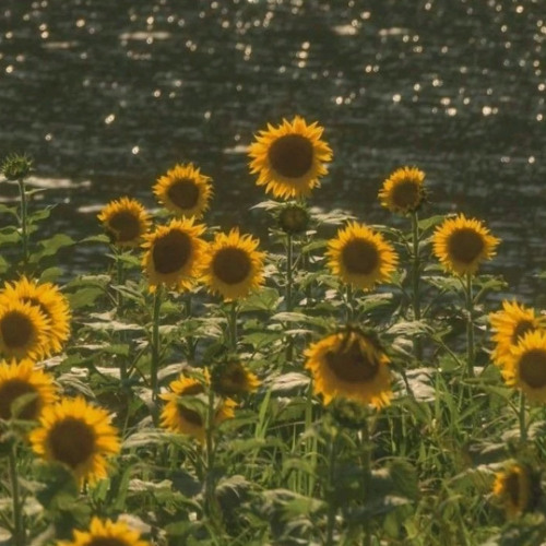 DREAMCATCHER - Gió & ‪@feliksalvinmusic‬