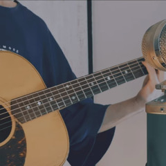 フォニイ(phony)/ツミキ cover by Akala kai