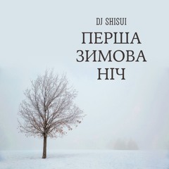 DJ SHISUI - Перша зимова ніч