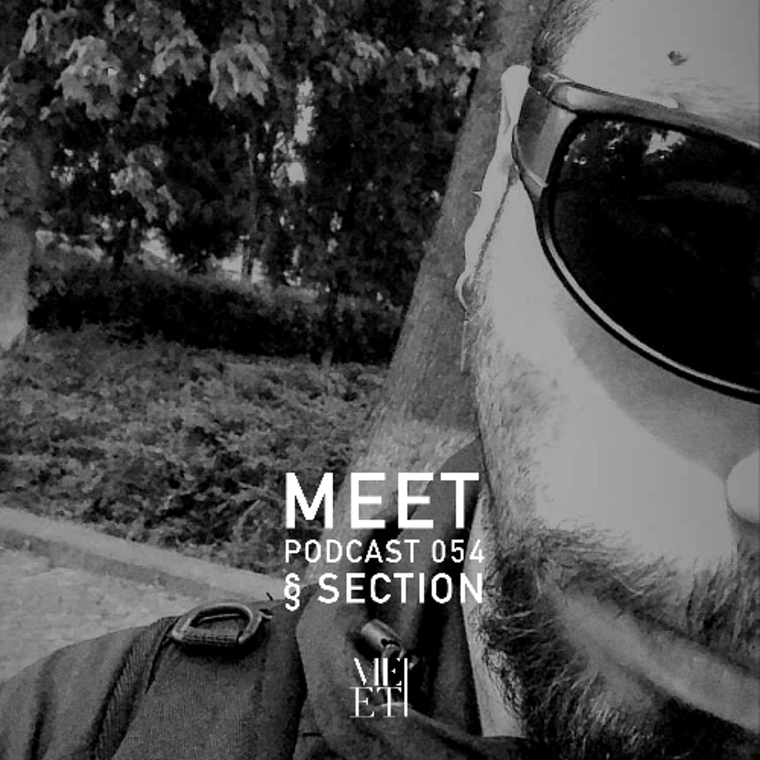 MEET Podcast 054 § Section