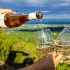 The Ultimate Limousine Wine Tours Experience