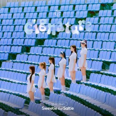 poongdung (풍덩) - cignature