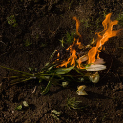 Rontsd el (egyedül)