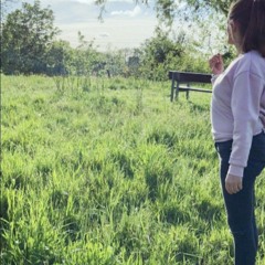 settekes 🌷🌺🌷