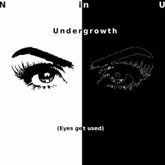 Undergrowth (Eyes get used)