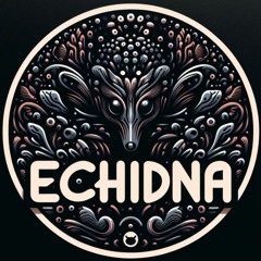 DarkProg @ Insular Groove 2023