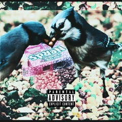 Birds & Nerds (prod by Hush Lyfe)