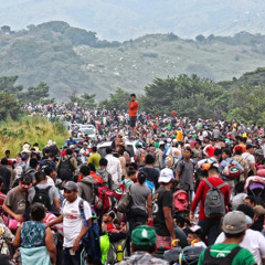 ONU: Migración en cifras