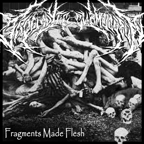 Troglodytic Curmudgeon - Fragments Made Flesh