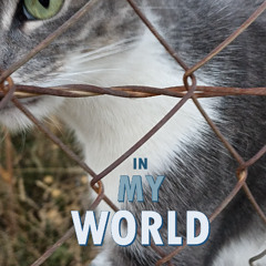 In my world