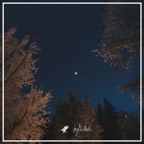 Jay Mellock x Renovatiø  - Dissociate