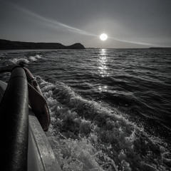 مستغربة | طلال سلامة