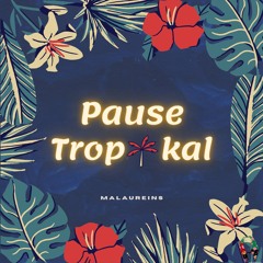 🌴 Pause Tropikal- Mix 2022🌴- Malaureins 💃🏽