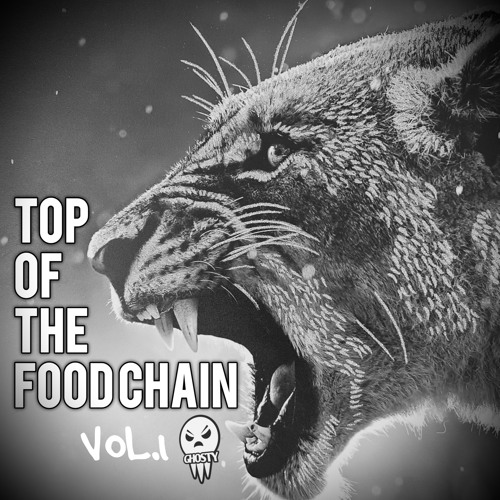 洋楽 G-RAP TOP OF THE FOOD CHAIN G-RAP TOP OF THE FOOD CHAIN