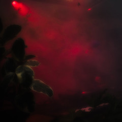 kinetic live 12: mangruv live at garage noord, amsterdam