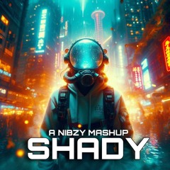 Eminem - Shady ( Nibzy Free Mashup )