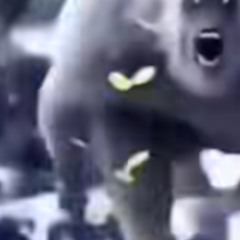 ketchup type sauce beat 2 pack