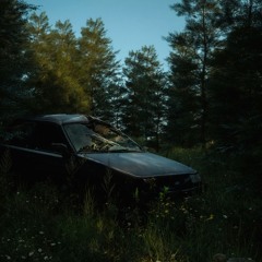 OSWALD-nachts wach | exosoul remix