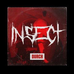 DURCH podcast No 43 - INSECT
