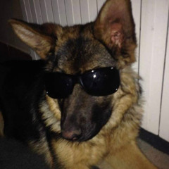 fIt freestyle [Prod. @beatsbynyce]