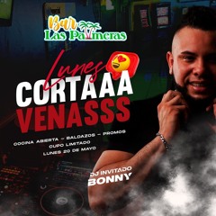 CORTA VENAS PALMERAS