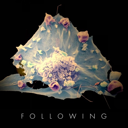 Following