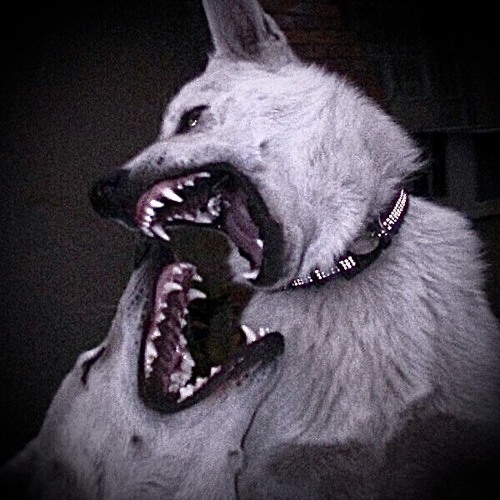 ilyhiru psycho good part looped (super slowed)