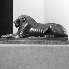 Mind Imitates Nature