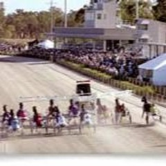 'Square Gaiters' - The Harness Racing Show - February 24, 2024