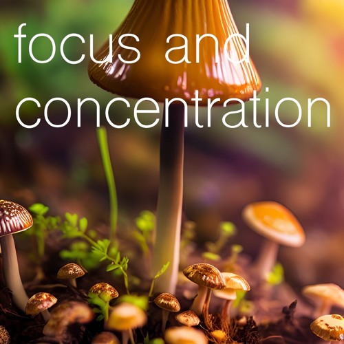 Cover: Synaptic Impact – Focus and Concentration