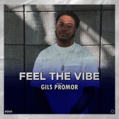 Feel The Vibe