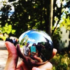 Chevreuils et Cèpes