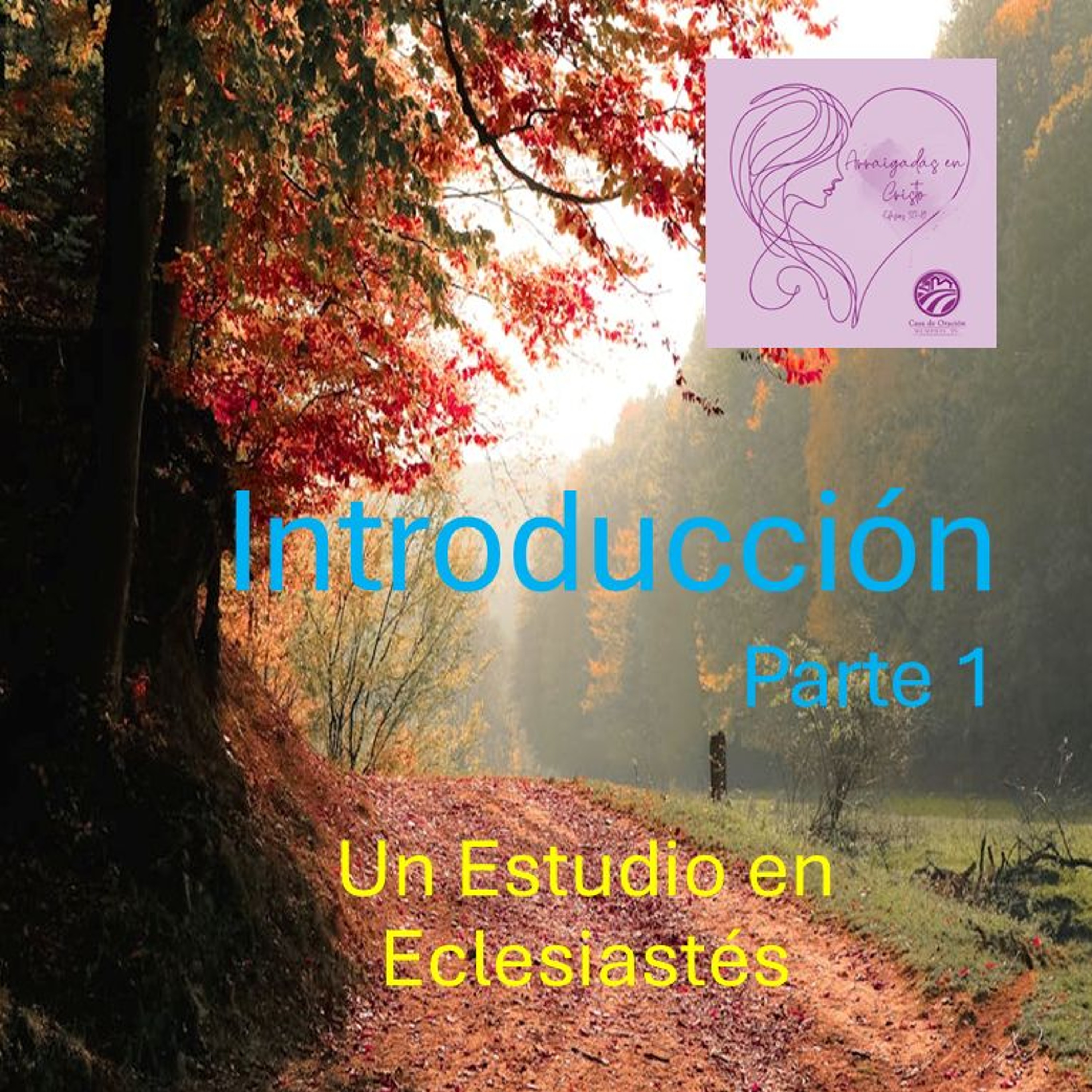 01 | Con La Vista En La Eternidad | Introducción Parte 1 | 09/20/24 episode artwork