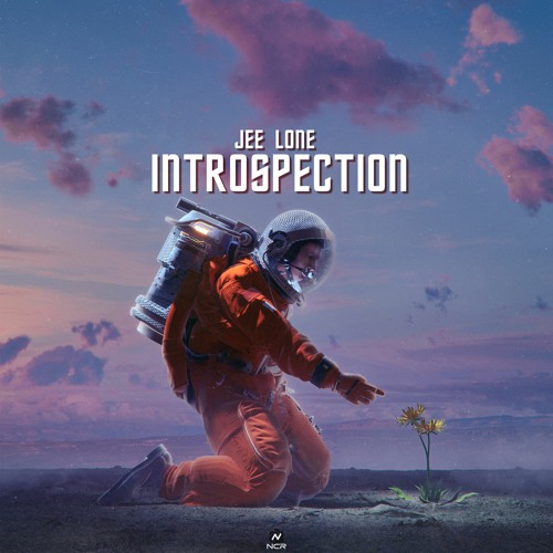 Introspection