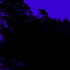 Watch Me Breathe — Part III