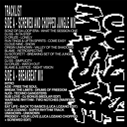 Luca Lozano Junglish Massive Side Two - Breakbeat Mix