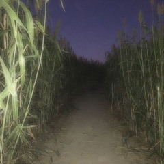 *free for profit* "m15ty n1ght5" Icytwat x Dark x Ambient type beat (prod. Jordan Band$)