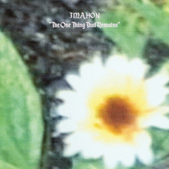 The One Thing That Remains