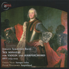 Sonata in E major, BWV 1016: Adagio ma non tanto