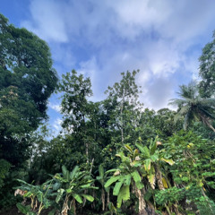 AITONGNGONUK (rmx)