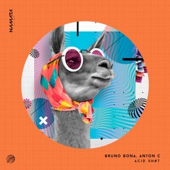 [SFM PREMIERE] Bruno Bona , Anton C - Acid Sh#t (Original Mix)