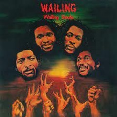 The Wailing Souls - Face The Devil