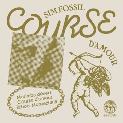 Sim Fossil - Marimba Desert