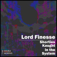 Lord Finesse - Shorties Kaught In The System prod by The Double Morphis