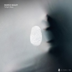 Premiere: Marco Bailey — Cybernetic Echoes [MATERIAMUSIC100]