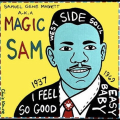 Magic Sam - 2012