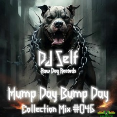 Hump Day Bump Day Collection Mix #046 - DJ SELF
