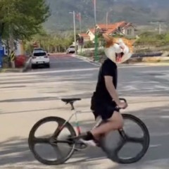 네모의 꿈 믹셋