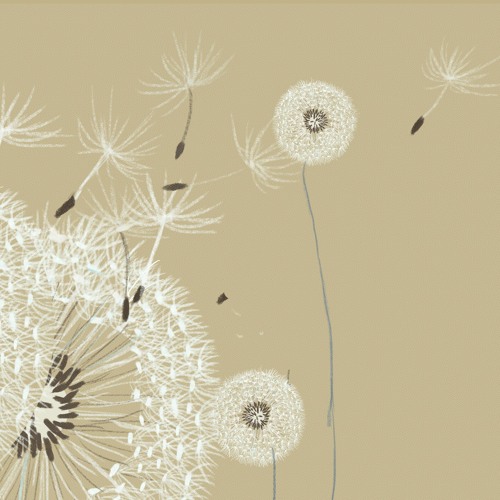 Aghois - Dandelion STBB 803