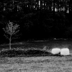 Das Kind im Schatten  -(Final Rev. Ed.)-